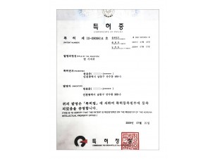 실용신안